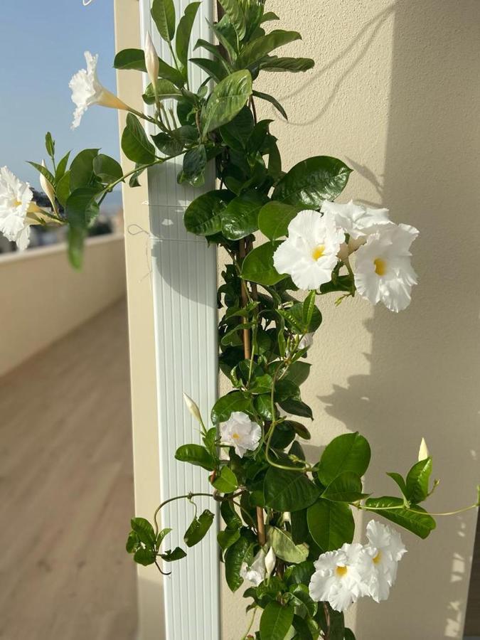 Apartamento Rossini Penthouse Cagliari Exterior foto